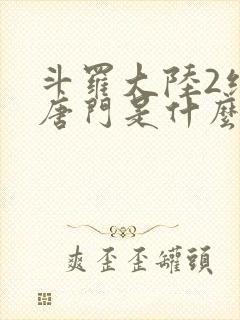 斗罗大陆2绝世唐门是什么
