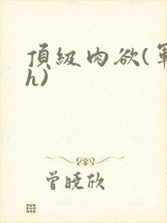 顶级肉欲(军高h)