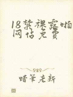 18禁裸露啪啪网站免费