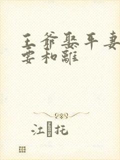 王爷娶平妻王妃要和离