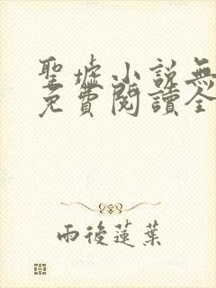 圣墟小说无弹窗免费阅读全文封面