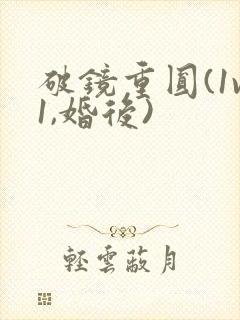 破镜重圆(1v1,婚后)