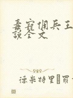 毒宠佣兵王妃小说全文