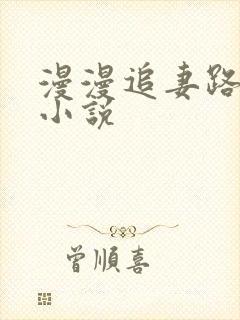 漫漫追妻路免费小说封面