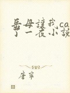 岳母让我cao了一夜小说封面