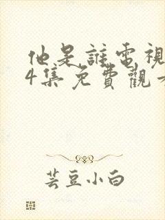 他是谁电视剧24集免费观看封面