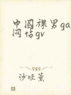 中国裸男gay网站gv