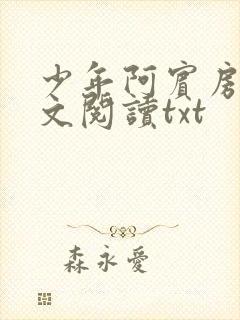 少年阿宾房东全文阅读txt