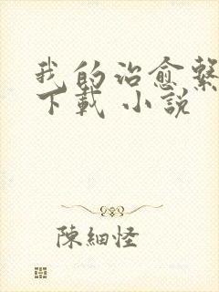 我的治愈系游戏下载 小说