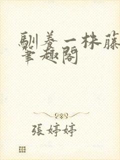 驯养一株藤蔓 笔趣阁封面