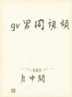 gv男同视频