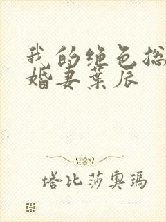 我的绝色总裁未婚妻叶辰