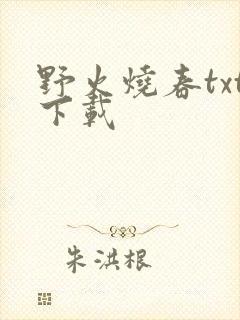 野火烧春txt下载封面