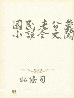 国民老公带回家小说全文阅读免费