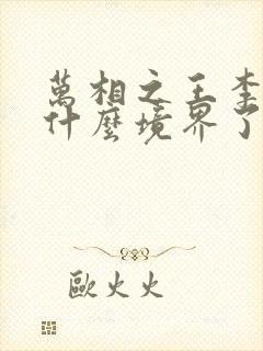 万相之王李洛到什么境界了封面