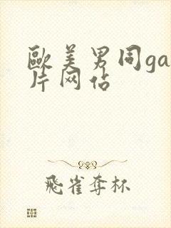 欧美男同gay片网站