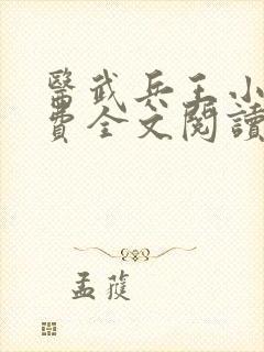 医武兵王小说免费全文阅读一