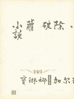 小萝 破除 小说