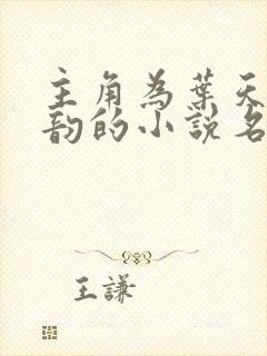 主角为叶天明柳韵的小说名字封面