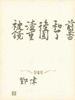 被渣后和前夫破镜重圆了番外txt