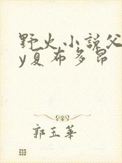 野火小说父女by夏布多昂