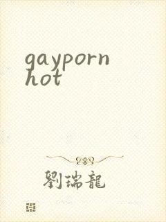 gaypornhot封面