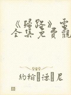 《归路》电视剧全集免费观看高清封面