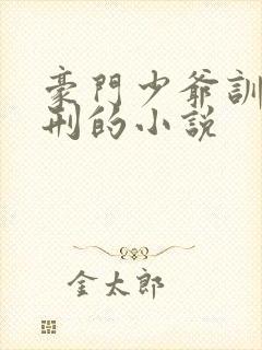 豪门少爷训诫耻刑的小说