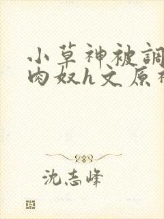 小草神被调教成肉奴h文原神