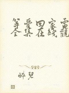 等爱回家电视剧全集在线观看免费