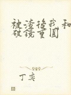 被渣后我和前夫破镜重圆