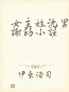 女主姓沈男主姓谢的小说