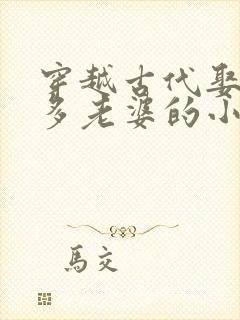 穿越古代娶了很多老婆的小说封面