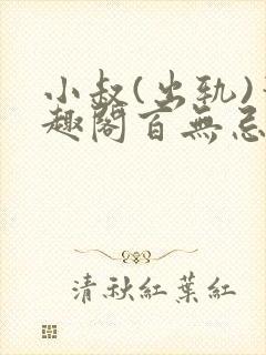 小叔(出轨)笔趣阁百无忌