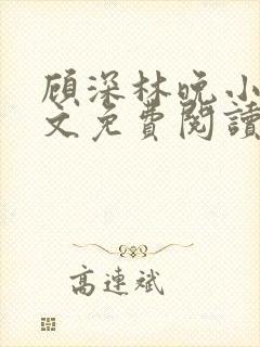 顾深林晚小说全文免费阅读