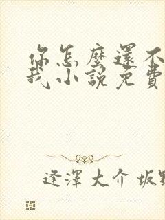 你怎么还不来哄我小说免费阅读