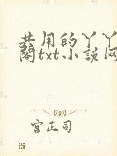 共用的丫丫笔趣阁txt小说网站