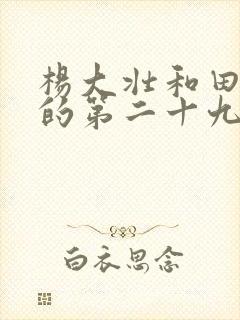 杨大壮和田桂花的第二十九