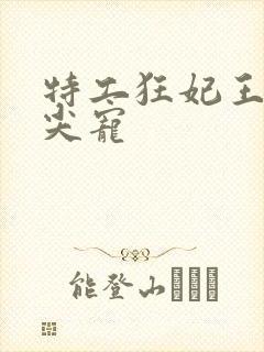 特工狂妃王爷心尖宠