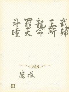 斗罗龙王武魂重瞳天命所归小说免费阅读