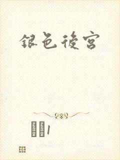 银色后宫
