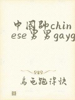 中国帅chinese男男gaygay网站xnxx