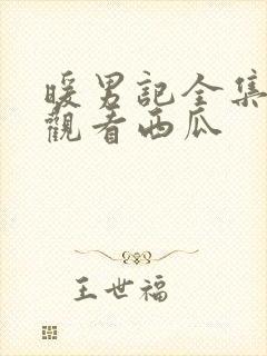 暖男记全集免费观看西瓜封面