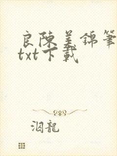 良陈美锦笔趣阁txt下载