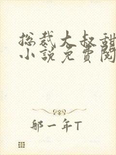 总裁大叔甜宠妻小说免费阅读