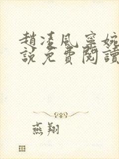 赵凌风宁婉婉小说免费阅读无弹窗