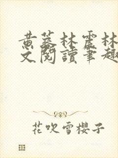 黄蓉林震林震全文阅读笔趣阁封面