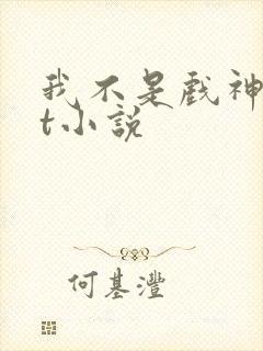 我不是戏神txt小说