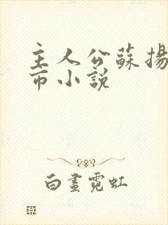 主人公苏扬的都市小说