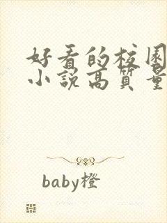 好看的校园言情小说高质量文笔好